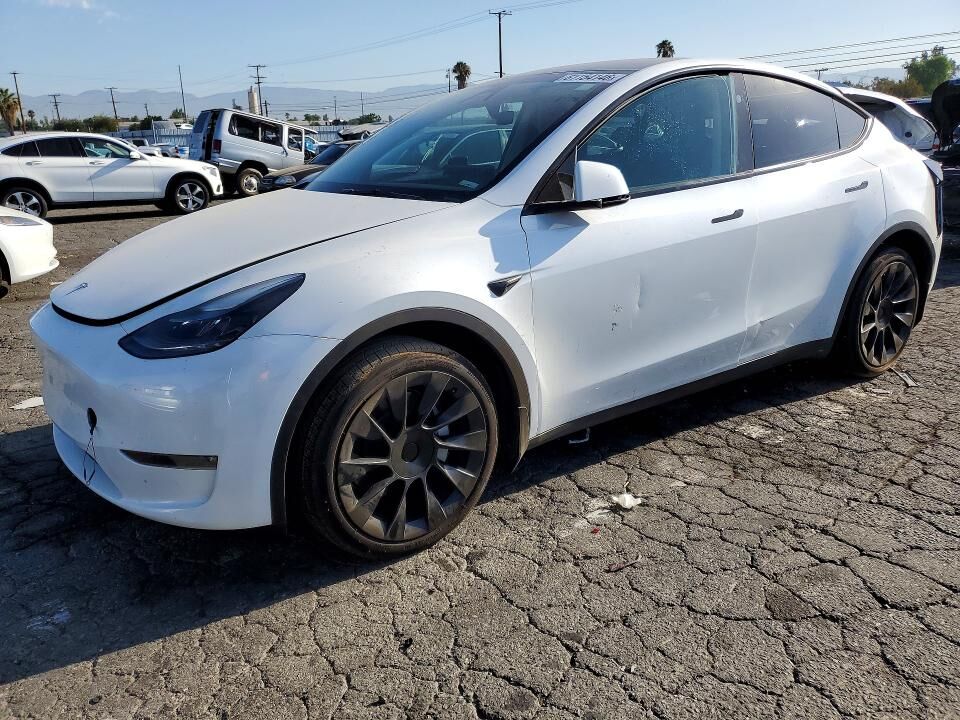 2024 TESLA Model Y
