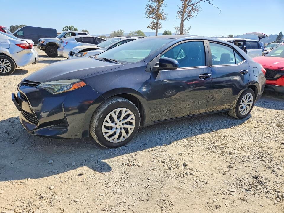 2019 TOYOTA Corolla