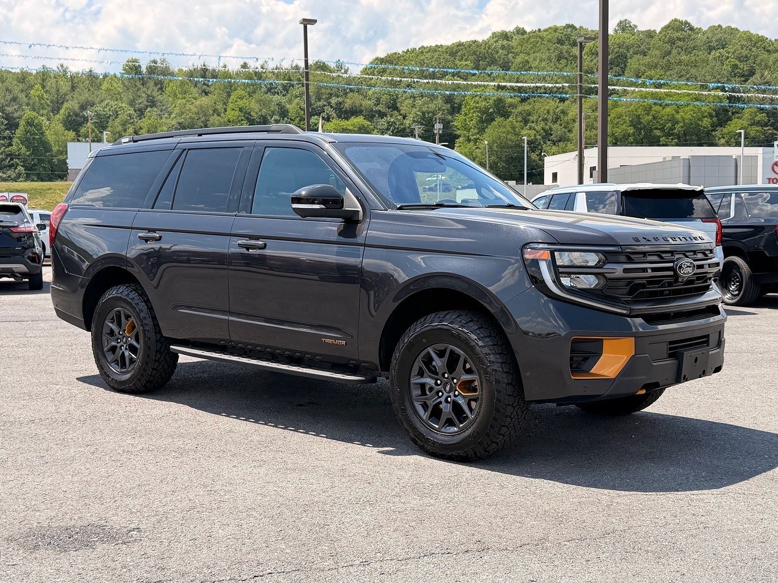 2025 FORD Expedition