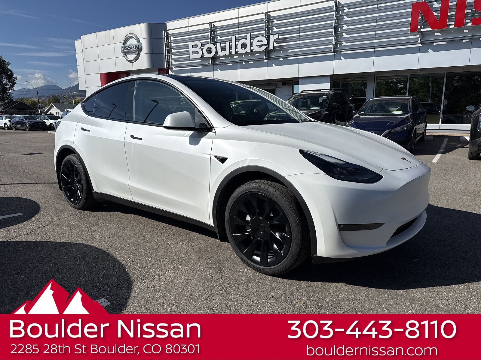 2023 TESLA Model Y