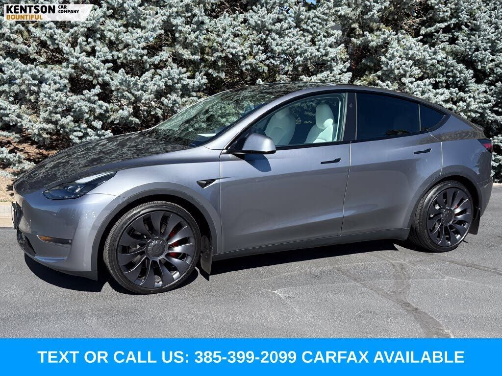 2024 TESLA Model Y