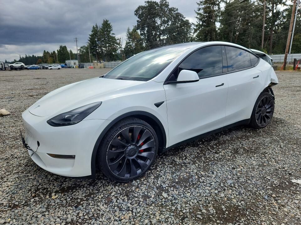 2023 TESLA Model Y