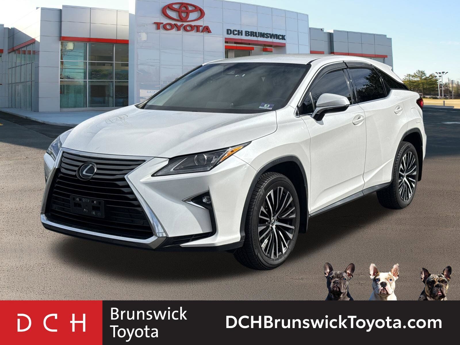 2019 LEXUS RX