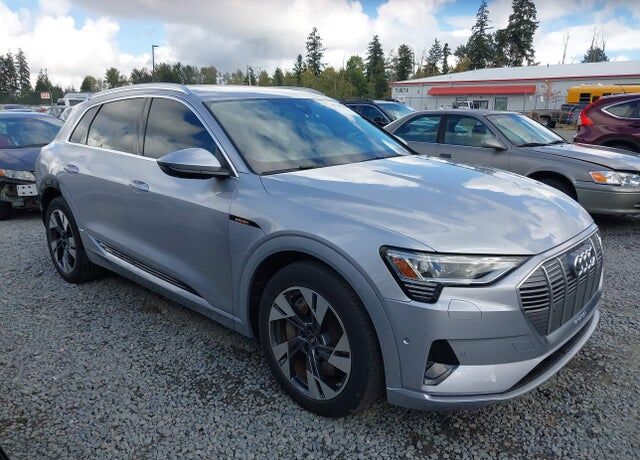 2022 AUDI e-tron