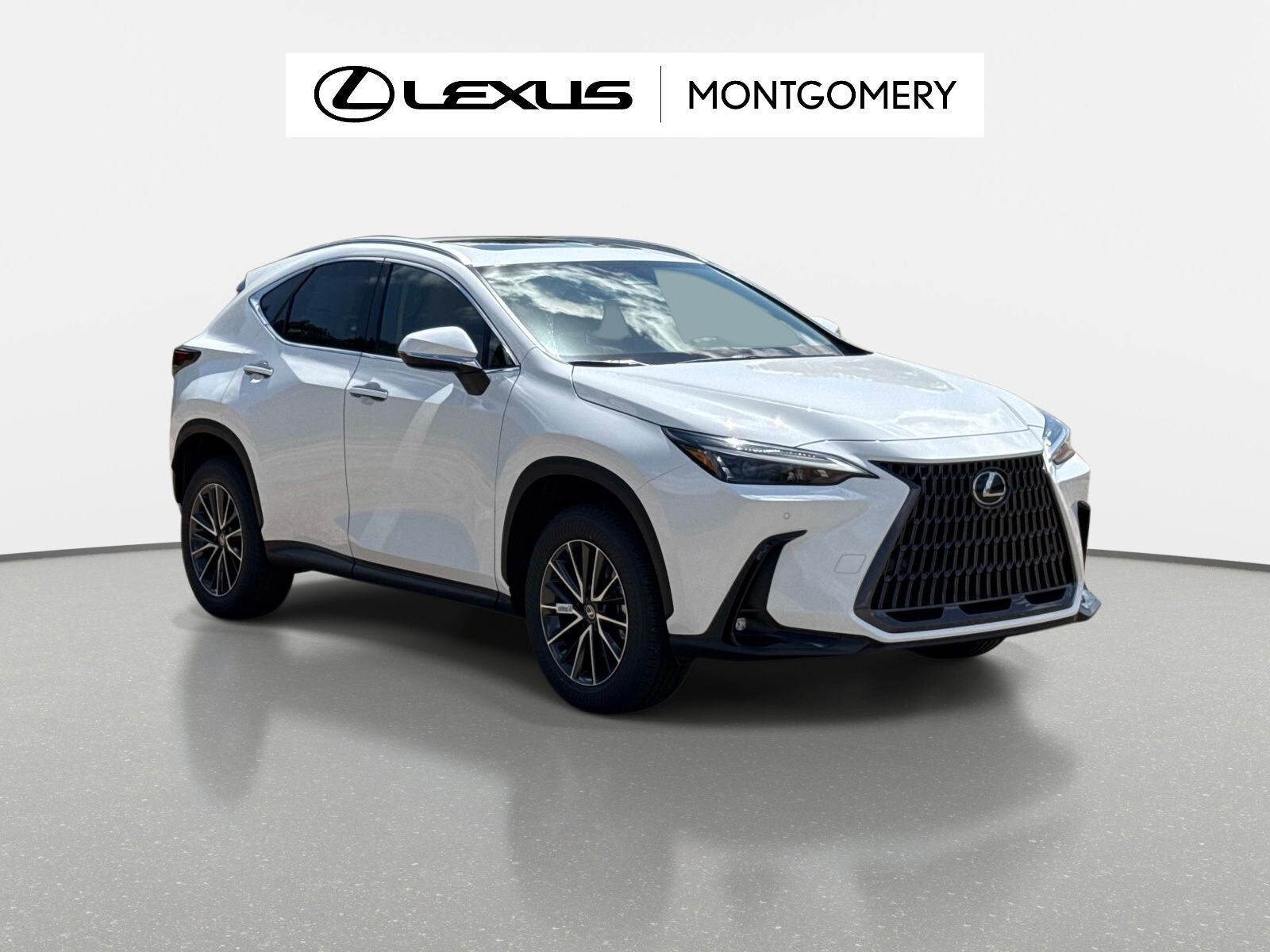 2026 LEXUS NX
