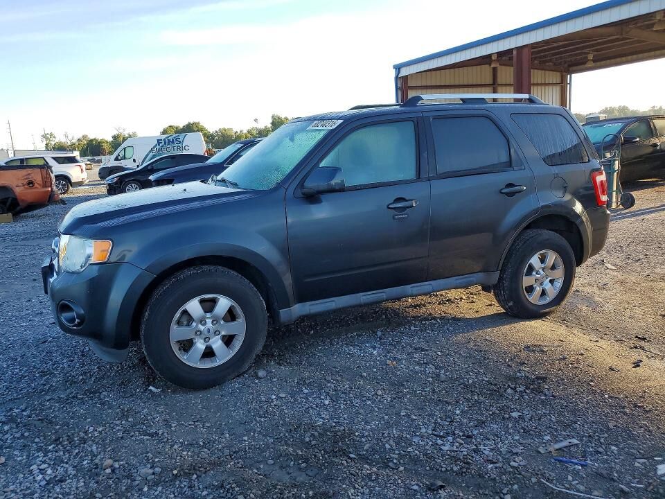 2009 FORD Escape