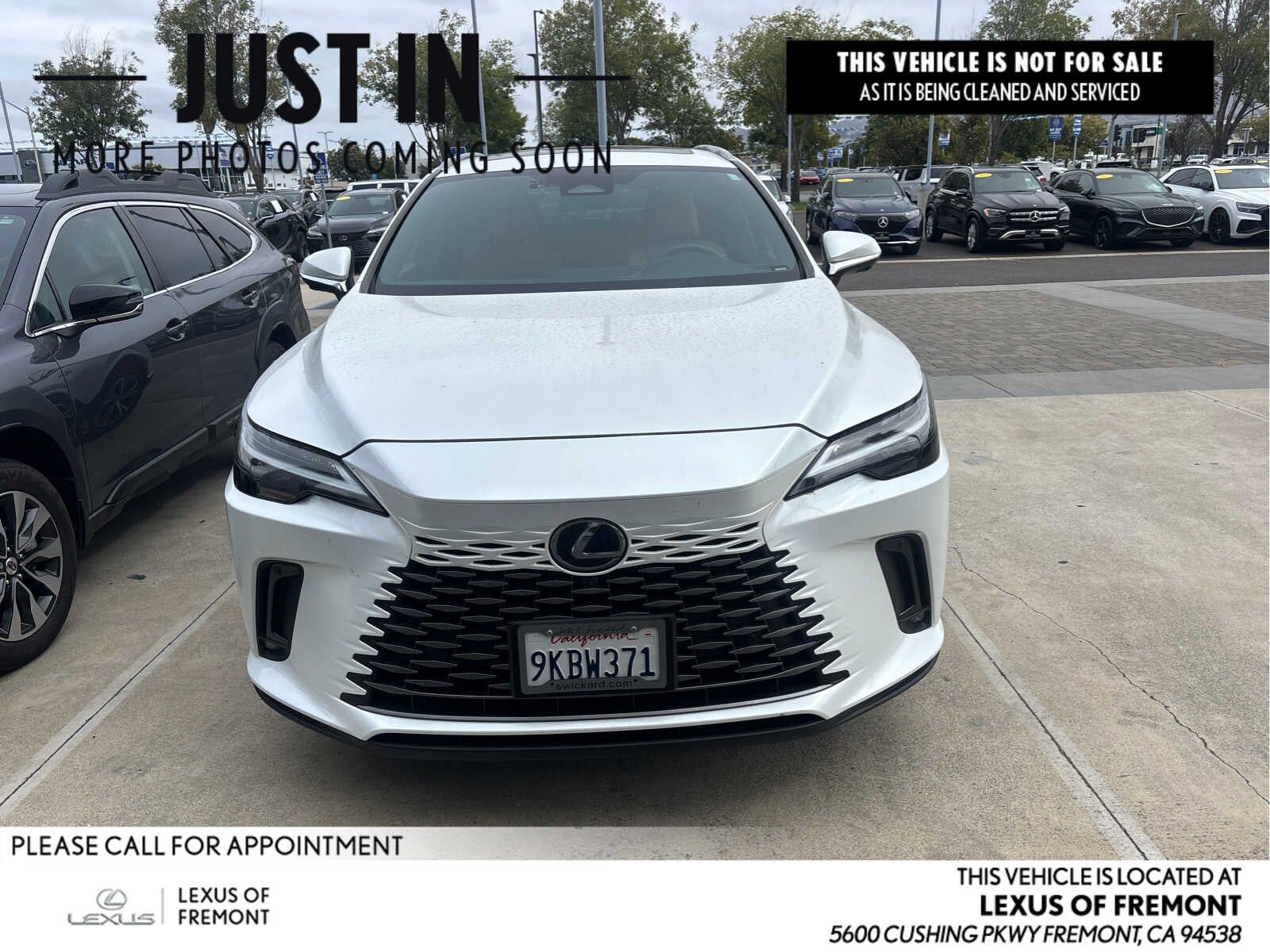 2024 LEXUS RX