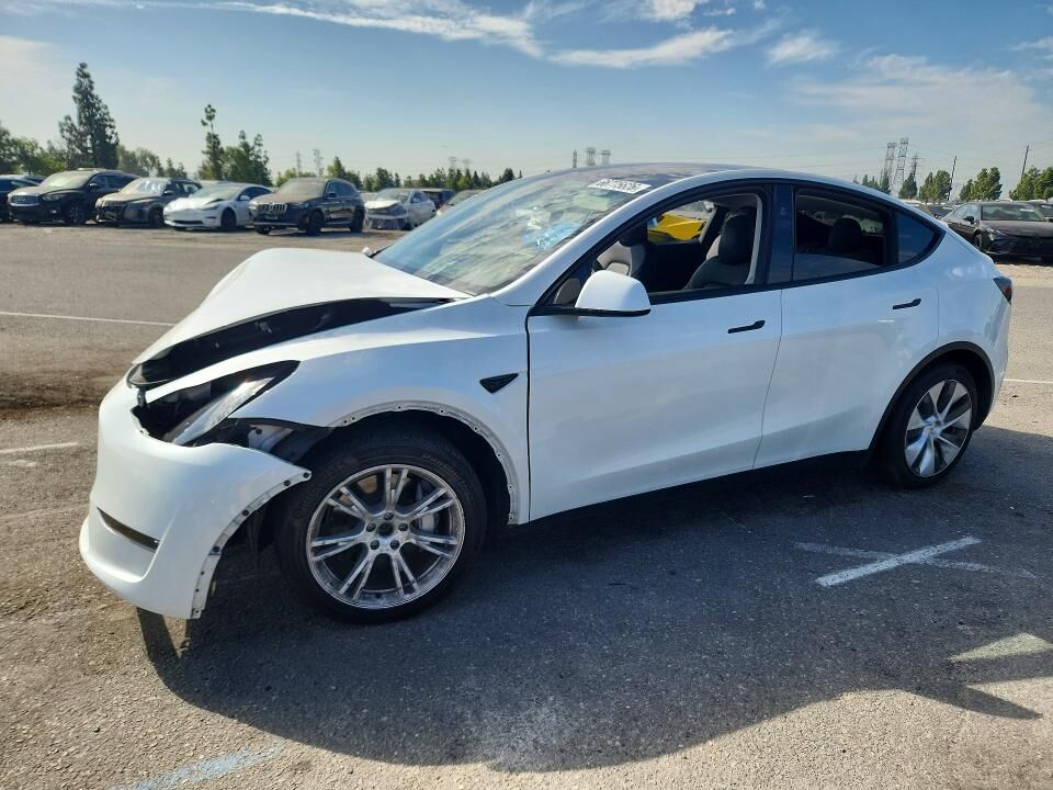 2024 TESLA Model Y