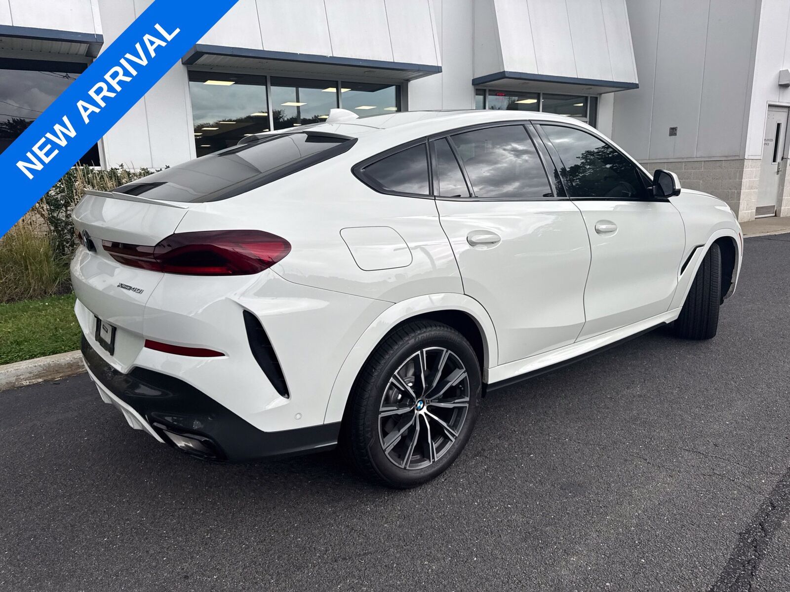 2023 BMW X6