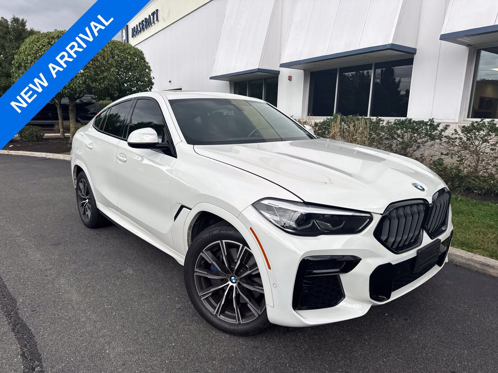 2023 BMW X6