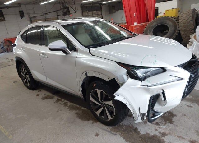 2019 LEXUS NX