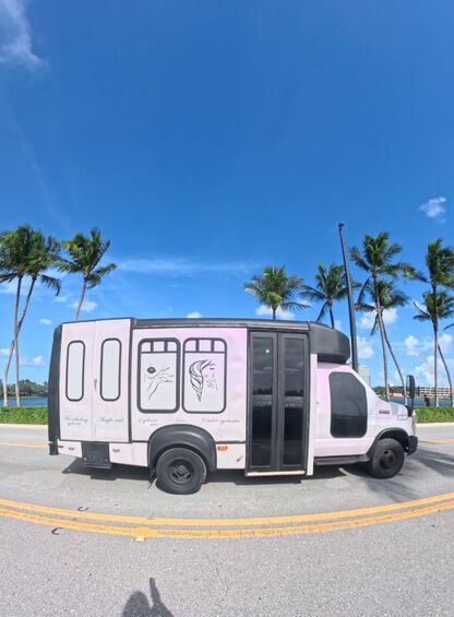 2009 FORD E-350