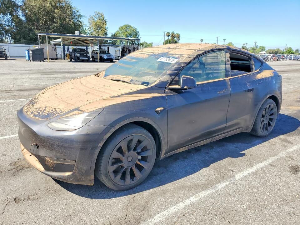 2024 TESLA Model Y