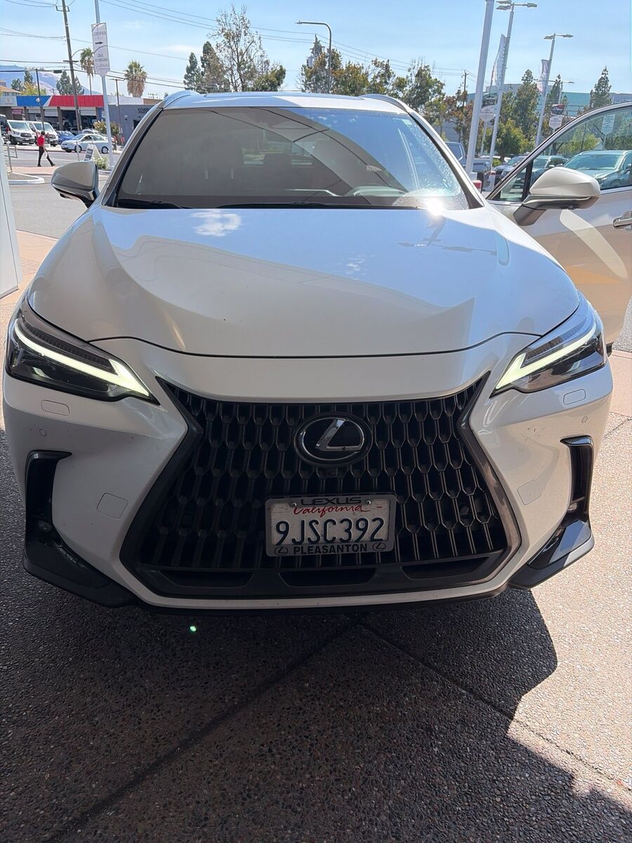 2024 LEXUS NX