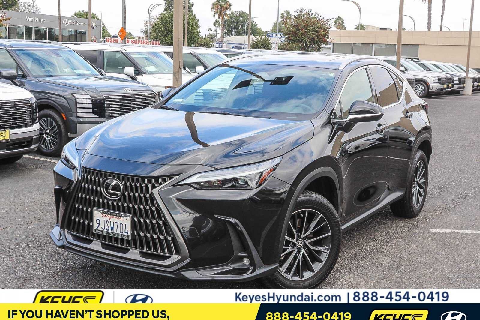 2024 LEXUS NX