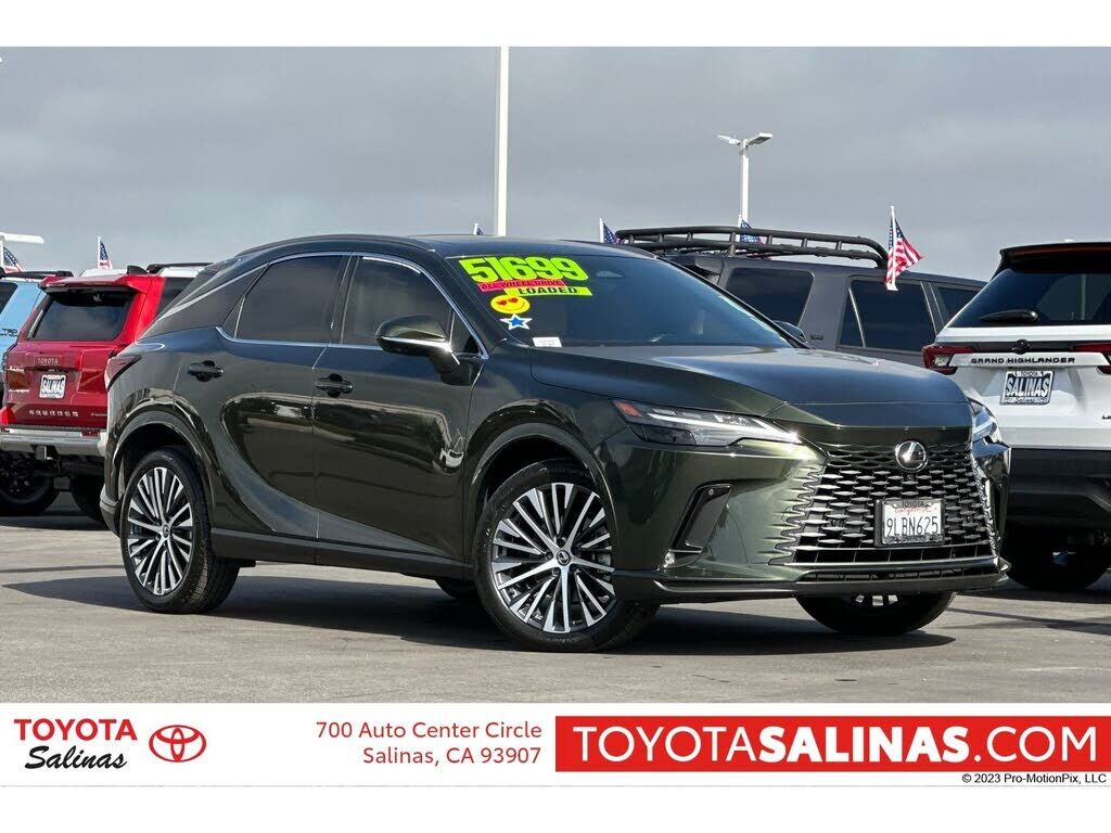 2024 LEXUS RX