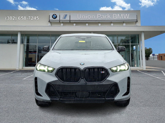 2024 BMW X6