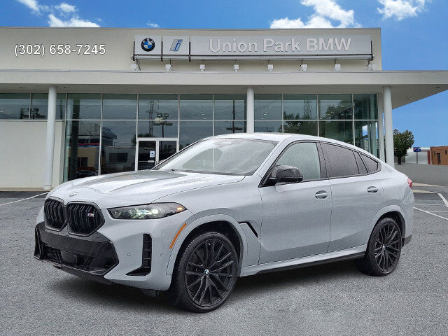2024 BMW X6