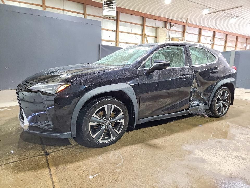 2019 LEXUS UX