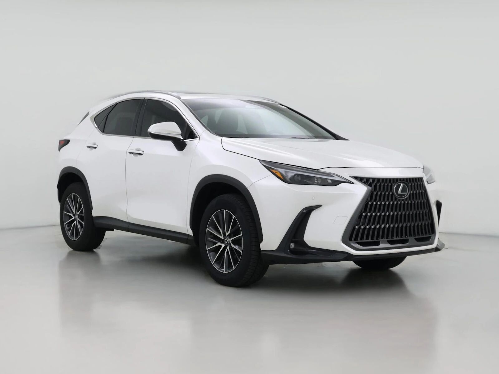 2024 LEXUS NX