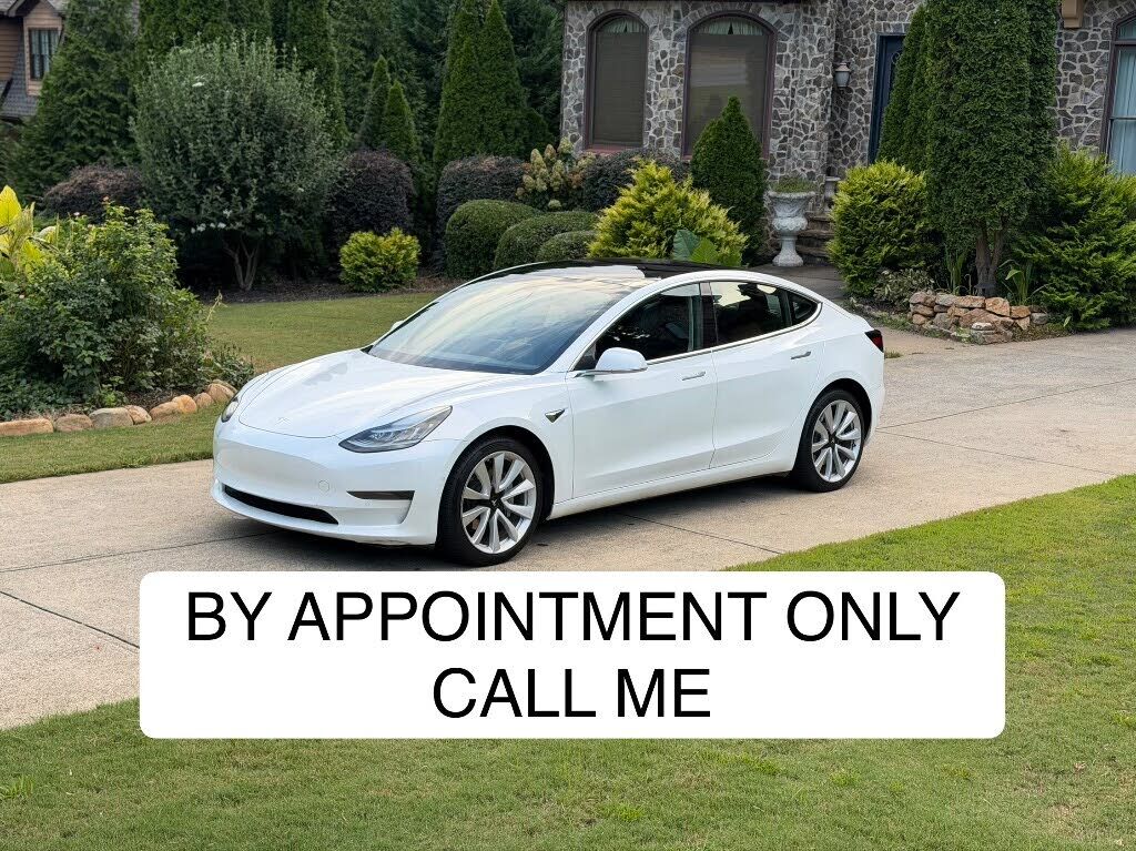 2019 TESLA Model 3