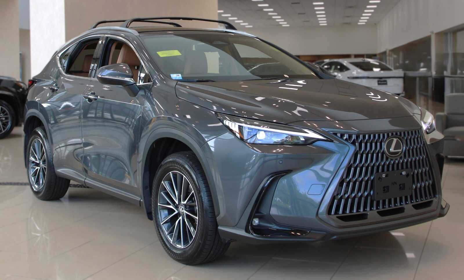 2024 LEXUS NX