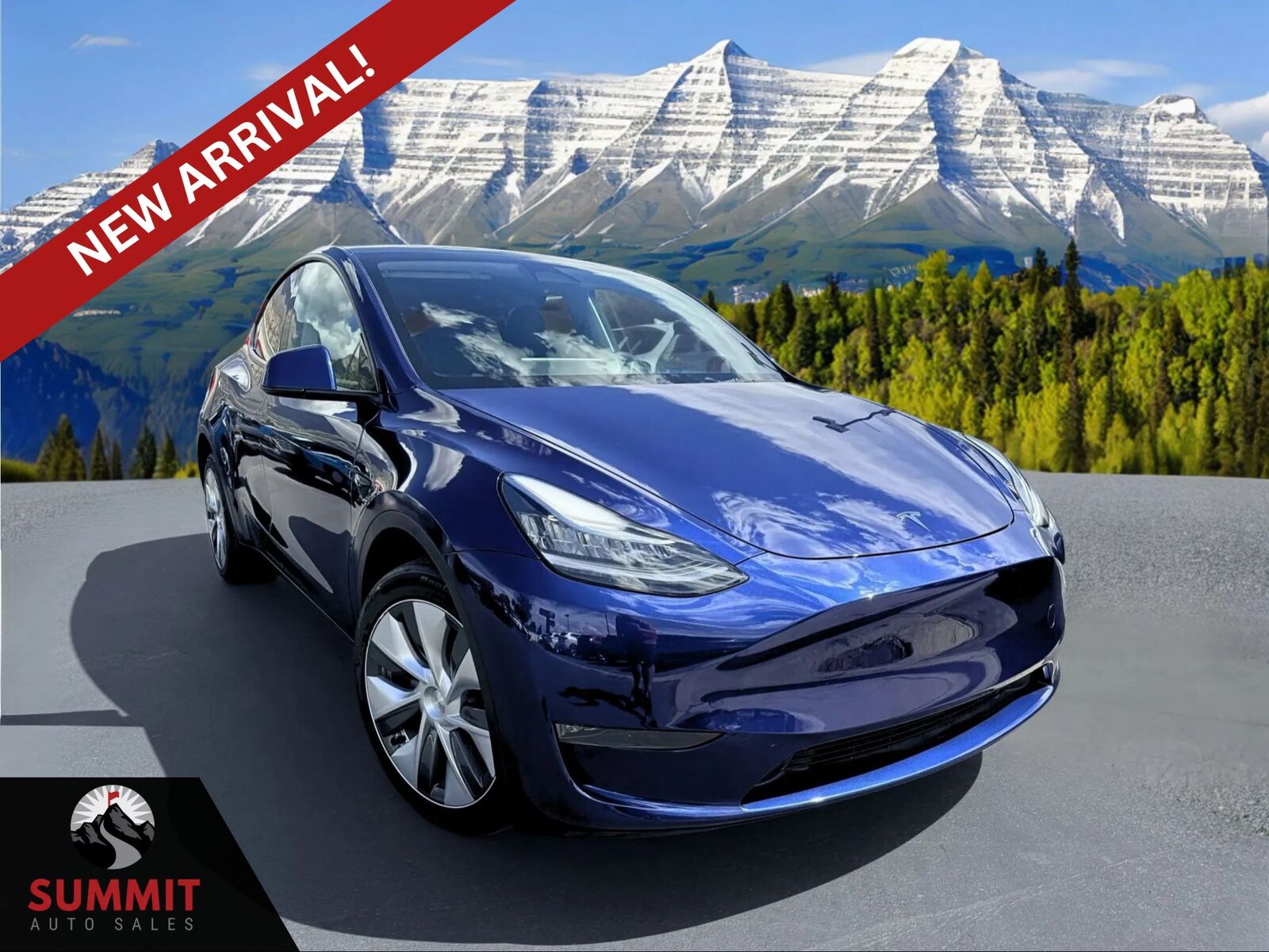 2023 TESLA Model Y