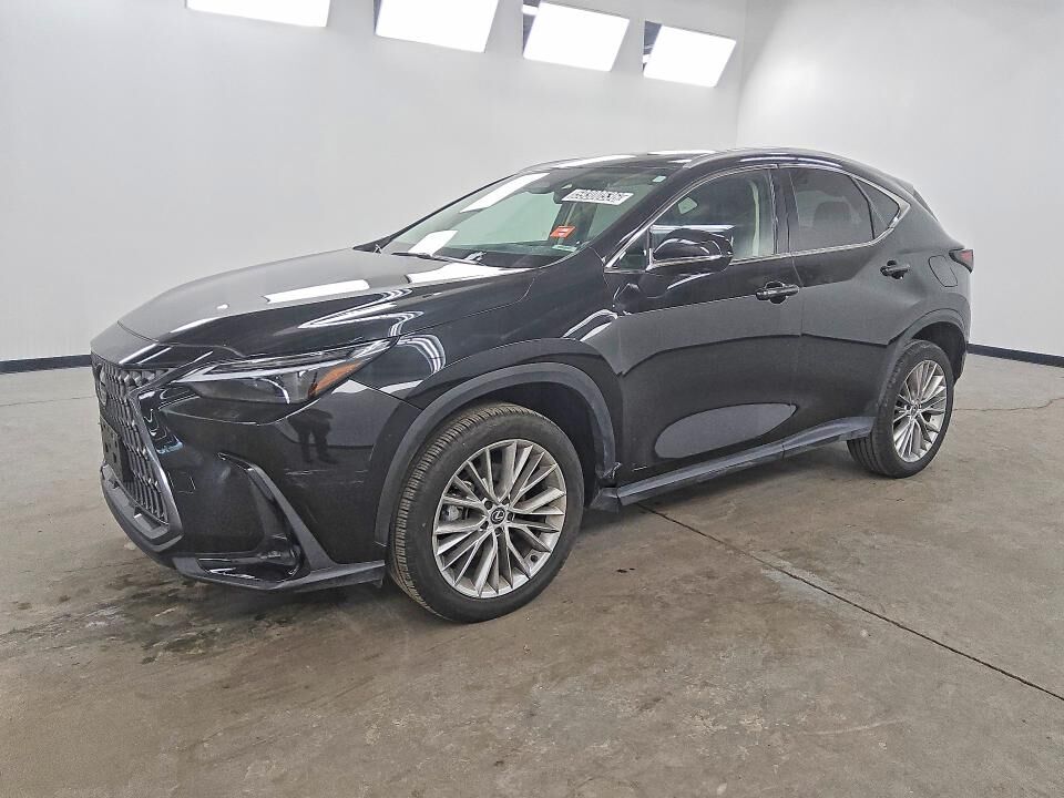 2024 LEXUS NX