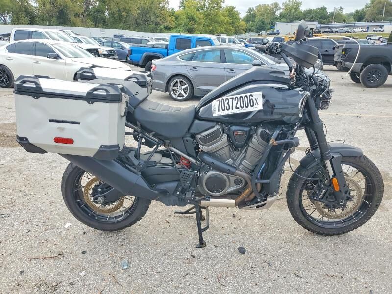 2024 HARLEY DAVIDSON RA1250 / Pan America