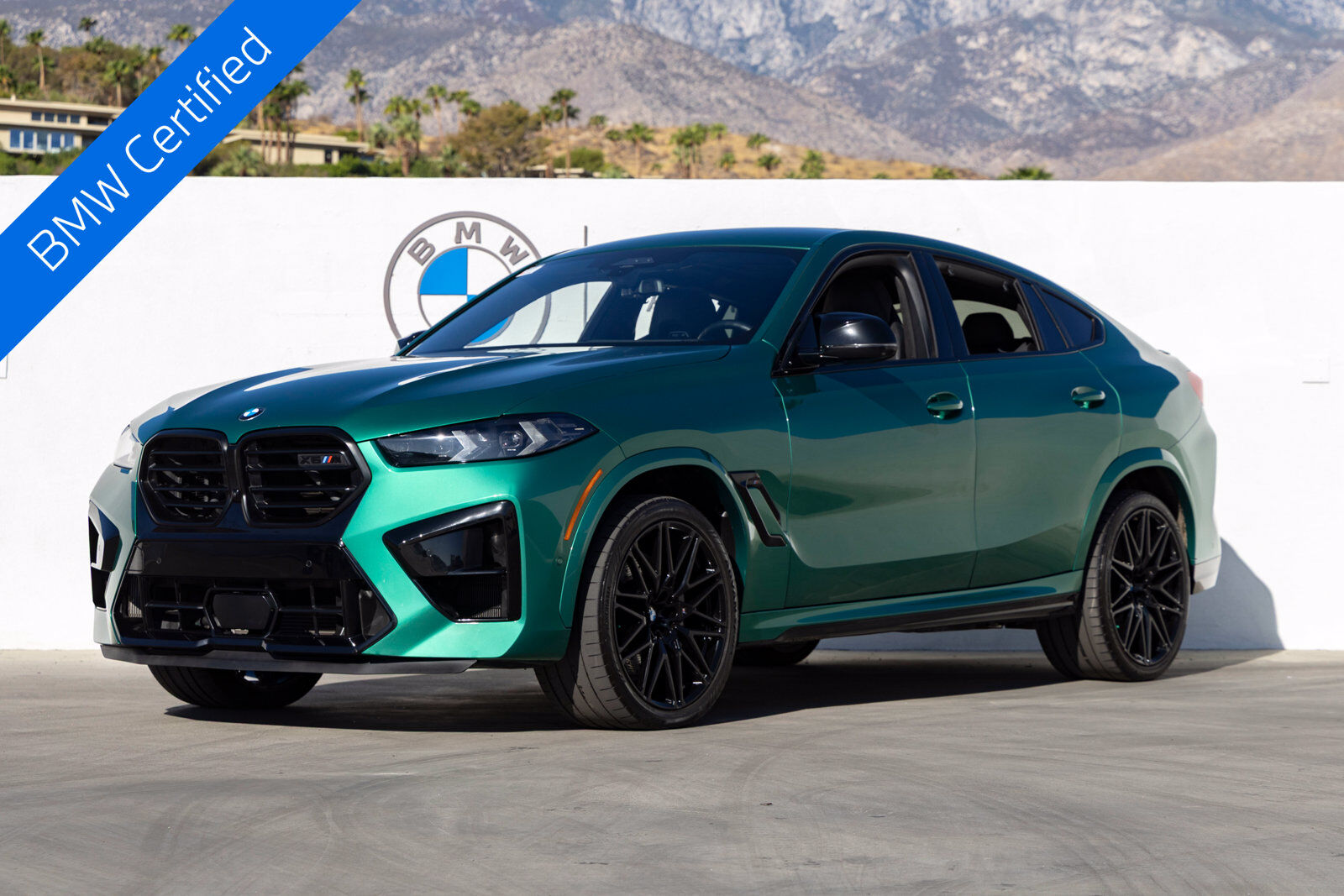 2024 BMW X6