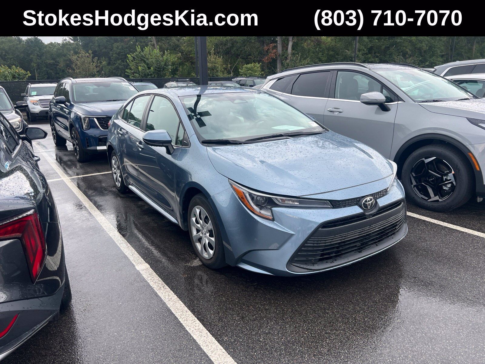 2024 TOYOTA Corolla