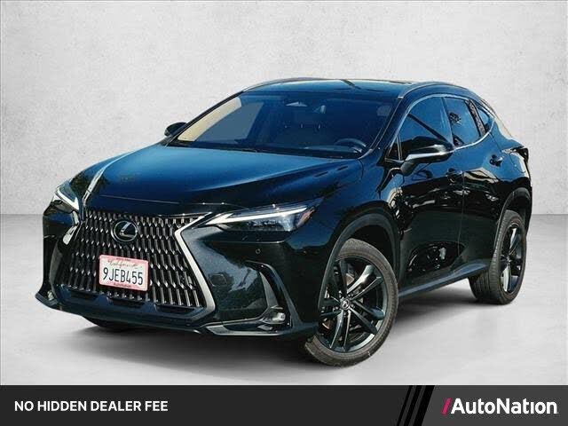2024 LEXUS NX