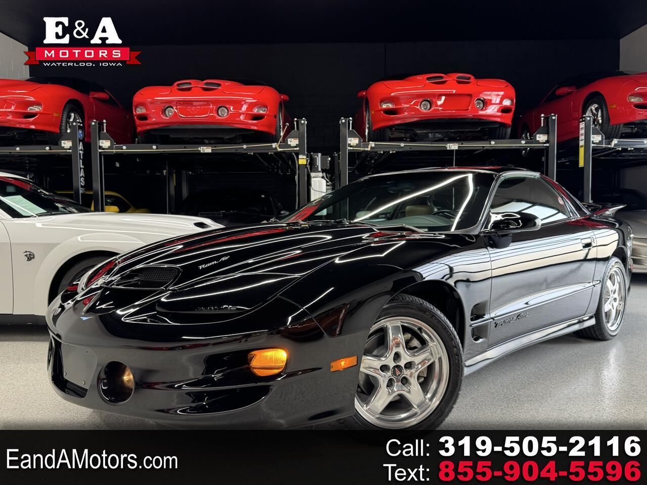 2002 PONTIAC Firebird