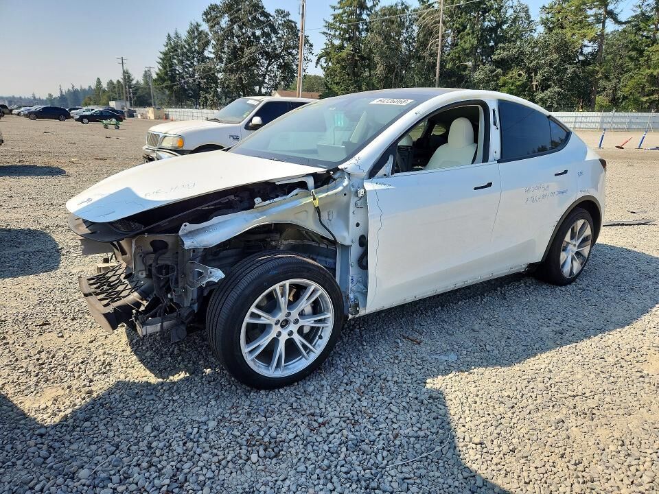 2024 TESLA Model Y