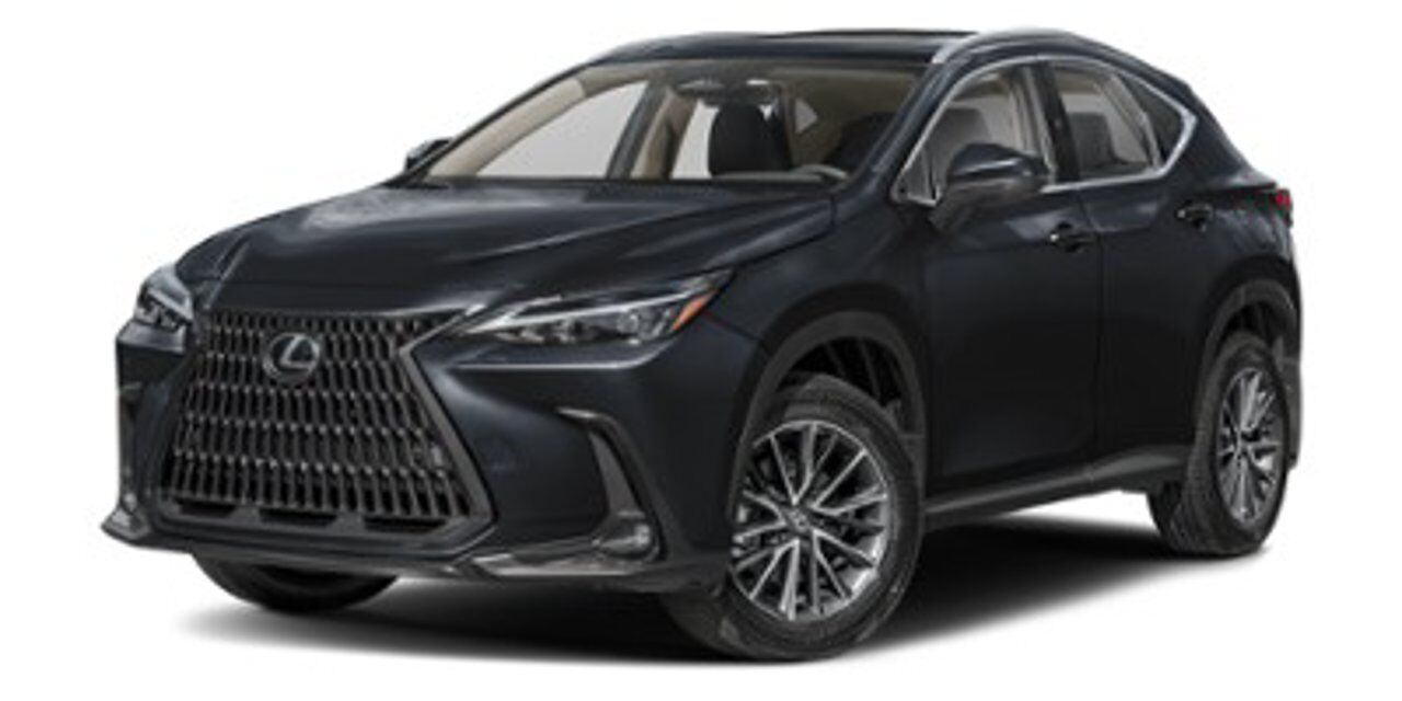 2024 LEXUS NX