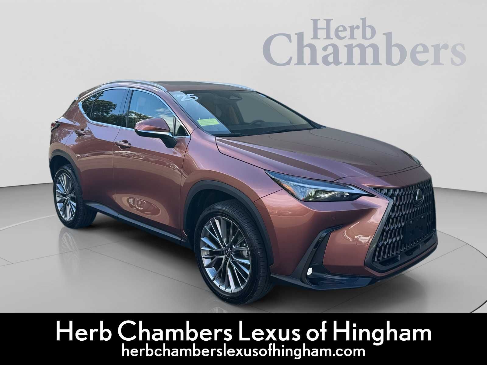 2025 LEXUS NX