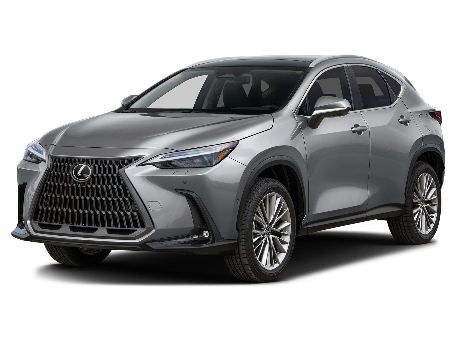 2026 LEXUS NX