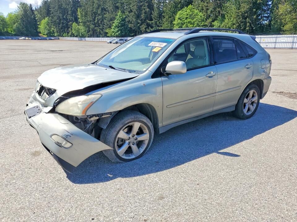 2007 LEXUS RX