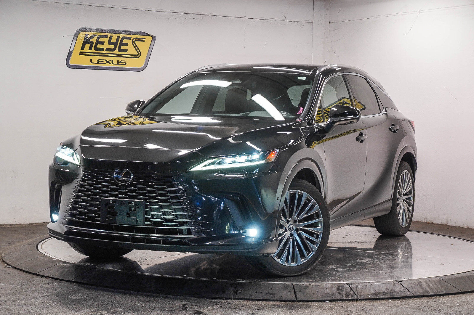 2025 LEXUS RX