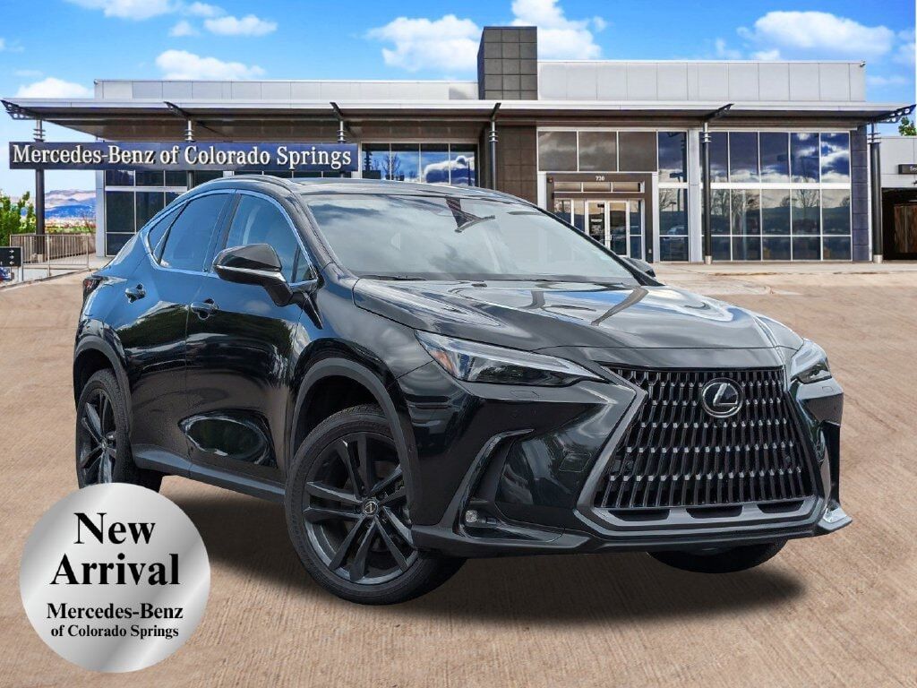 2025 LEXUS NX