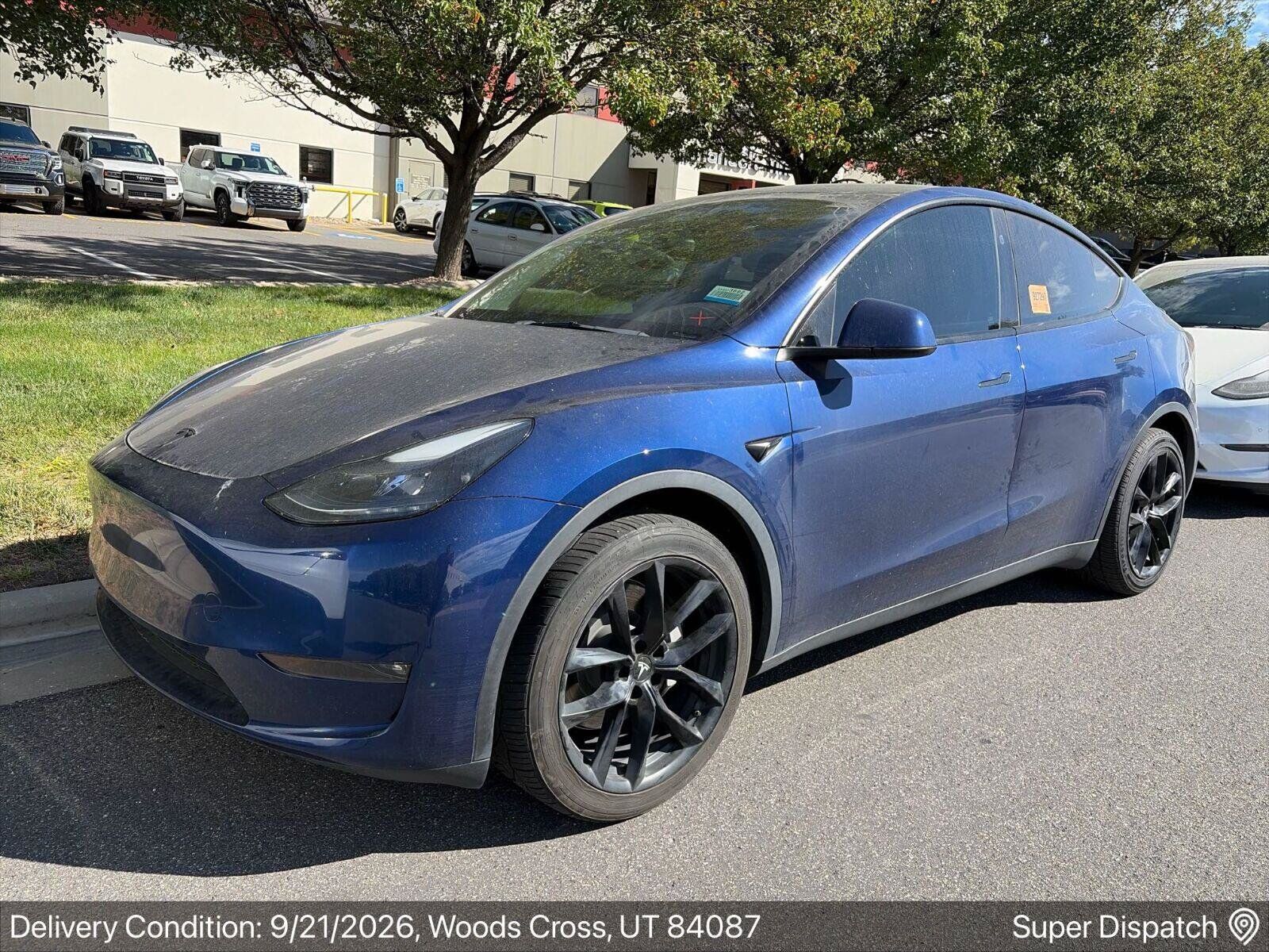 2023 TESLA Model Y