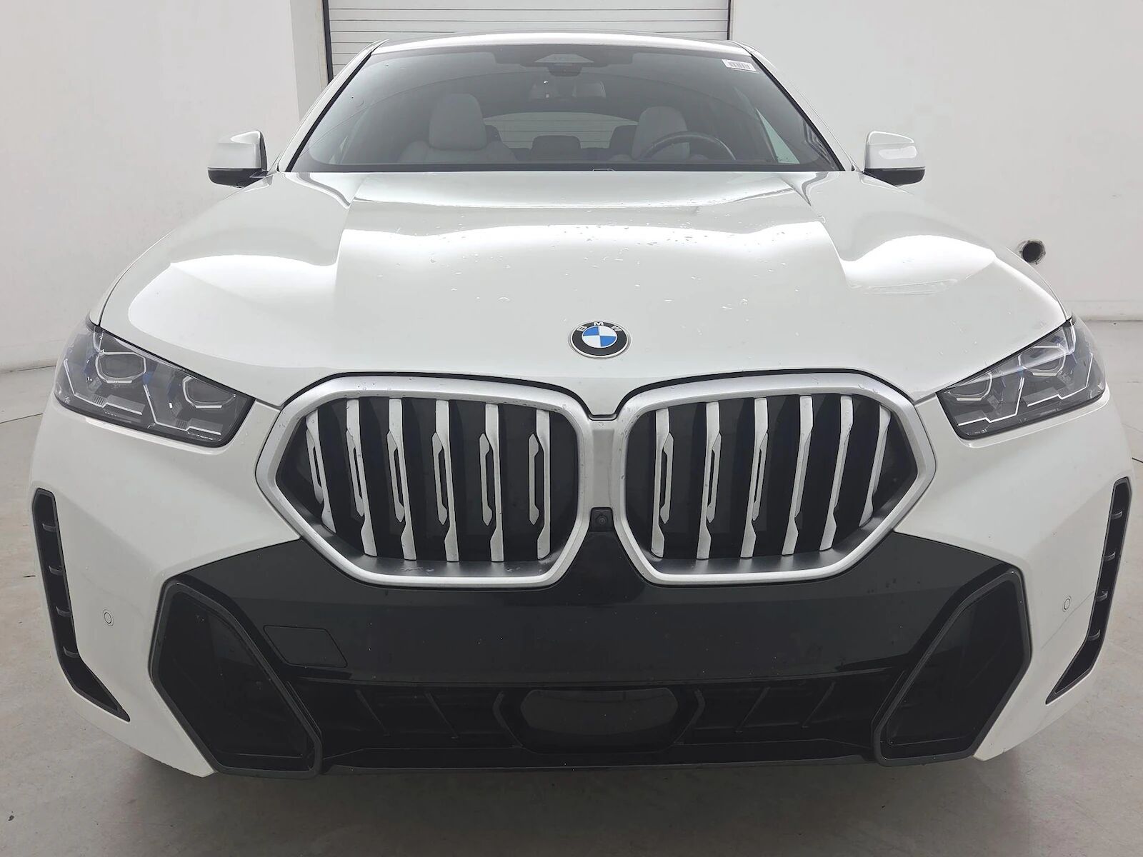 2024 BMW X6