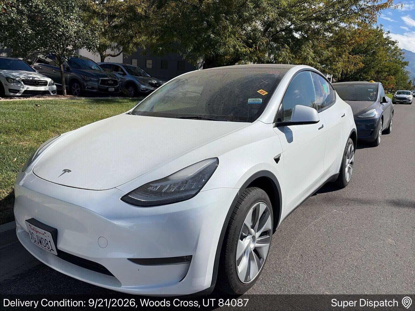 2023 TESLA Model Y