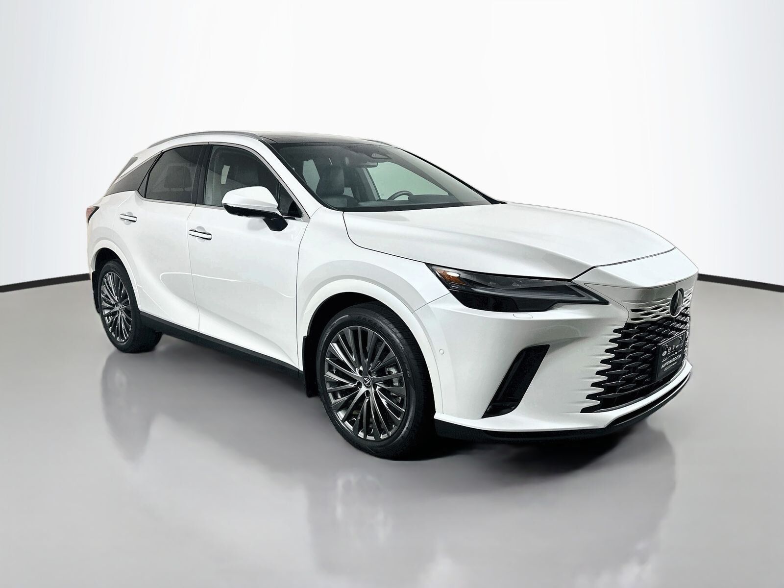 2024 LEXUS RX