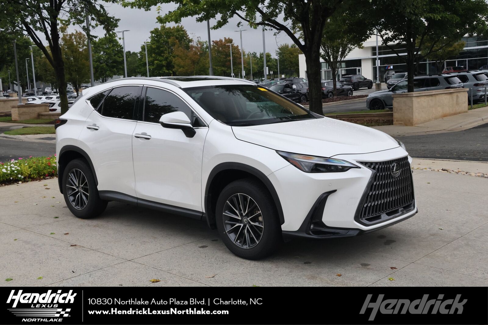 2024 LEXUS NX