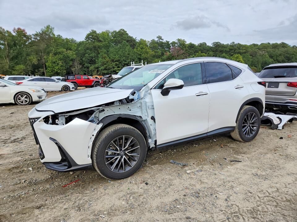 2024 LEXUS NX