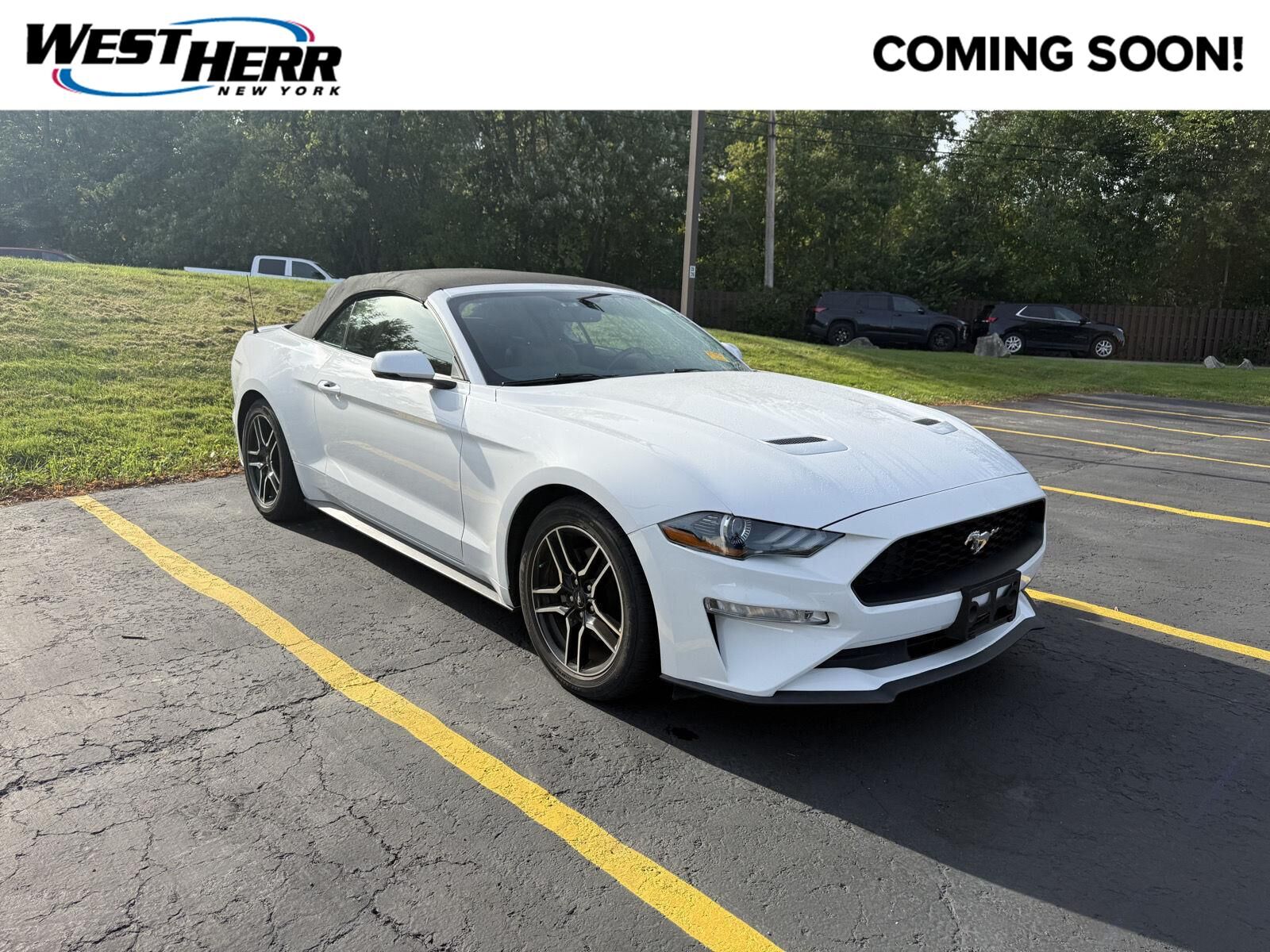 2019 FORD Mustang
