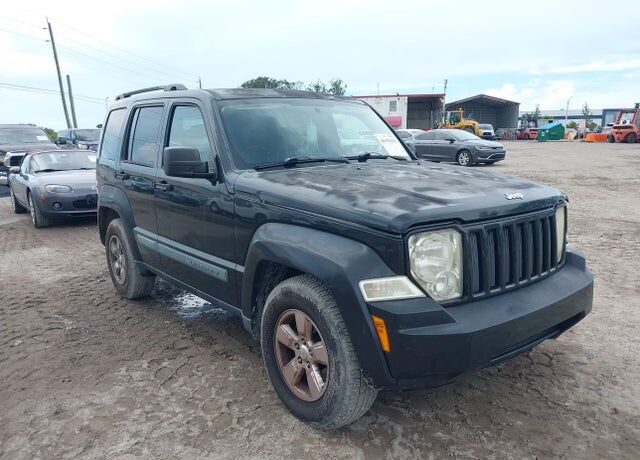 2010 JEEP Liberty