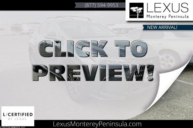 2024 LEXUS NX