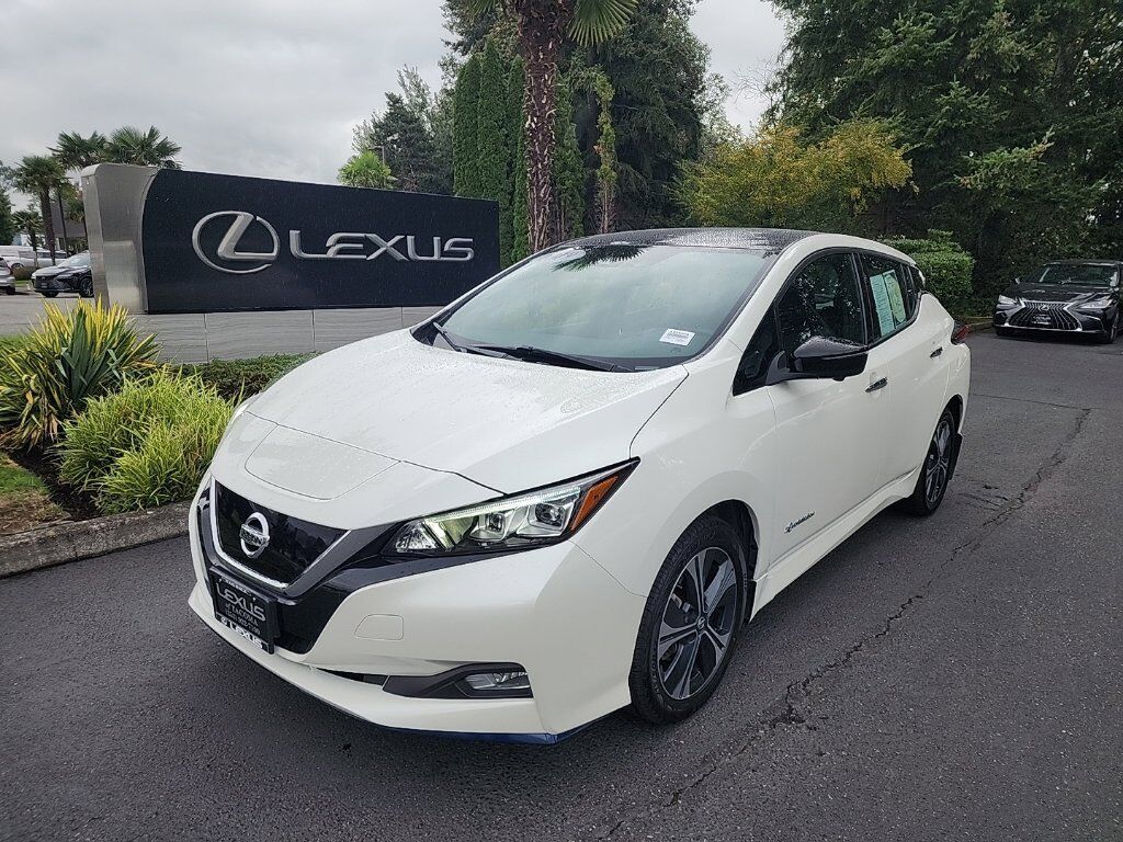 2019 NISSAN Leaf